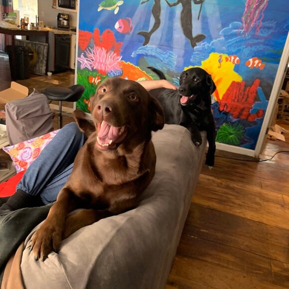 LIKE THIS LISTING TO GET NOTIFIED OF MY LIVE SHARE SHOWS!!! - Picture 5 of 11